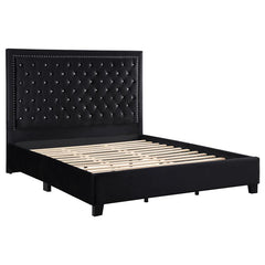 Hailey Upholstered Queen Panel Bed Black - 315925Q