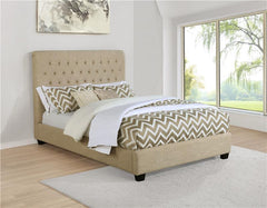 Chloe Upholstered Queen Panel Bed Oatmeal - 300007Q