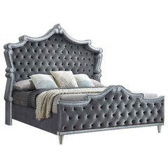 Antonella Upholstered California King Panel Bed Grey - 223581KW
