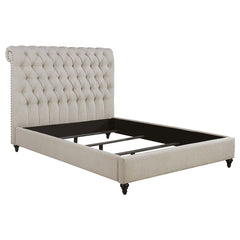 Devon Upholstered Queen Panel Headboard Beige - 300525QB1