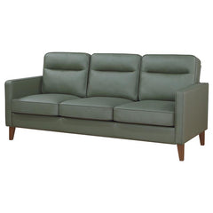 Jonah Upholstered Track Arm Sofa Green - 509654