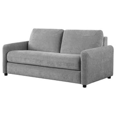 Rylie Upholstered Sofa Sleeper with Queen Mattress Grey - 360029