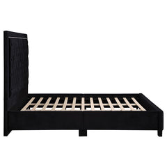 Hailey Upholstered Queen Panel Bed Black - 315925Q