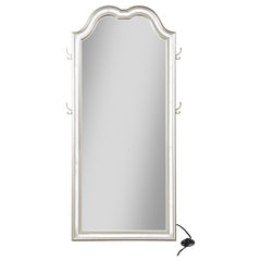 Evangeline Full Length LED Light Floor Mirror Silver Oak - 223400