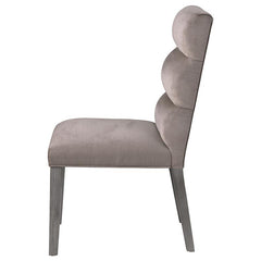 Carla Upholstered Dining Side Chair Stone (Set of 2) - 106684