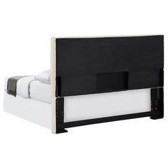 Pirro Upholstered Queen or Full Panel Headboard Sand - 315980QF