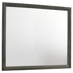Serenity Rectangular Dresser Mirror Mod Grey - 215844