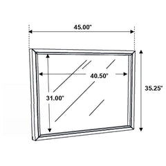 Serenity Rectangular Dresser Mirror Mod Grey - 215844