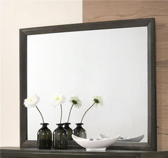 Serenity Rectangular Dresser Mirror Mod Grey - 215844