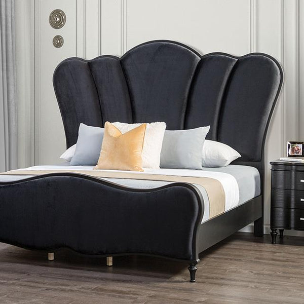 Eleanora - FM7416BK-EK-BED