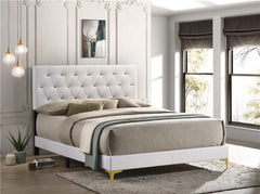 Kendall Upholstered Eastern King Panel Bed White - 224401KE