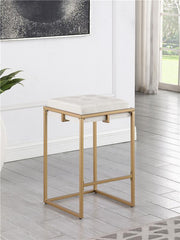 Nadia Square Padded Seat Counter Height Stool (Set of 2) Beige and Gold - 183645