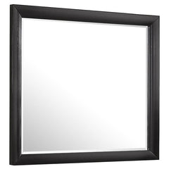 Briana Rectangle Dresser Mirror Black - 200704