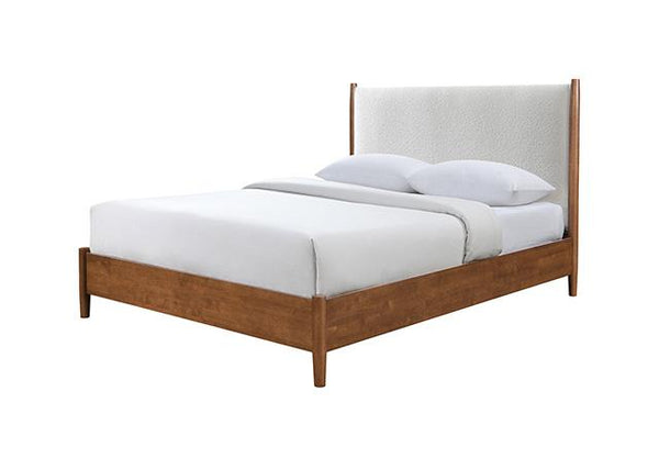 Thusis - FM7221WN-F-BED