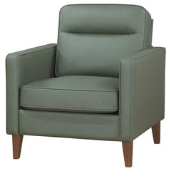 Jonah Upholstered Track Arm Accent Chair Green - 509656