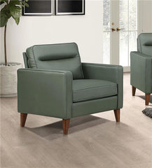 Jonah Upholstered Track Arm Accent Chair Green - 509656