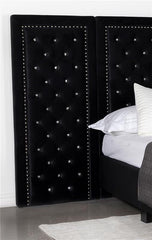Hailey Tufted Upholstered Wall Bed Panel Black - 315925P