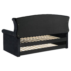 Scarlett Upholstered Twin Daybed with Trundle Black - 300642