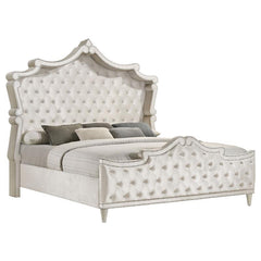 Antonella Upholstered Queen Panel Bed Ivory and Camel - 223521Q