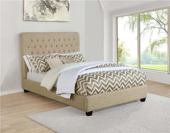 Chloe Upholstered California King Panel Bed Oatmeal - 300007KW