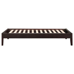 Hounslow Twin Universal Platform Bed Cappuccino - 300555T