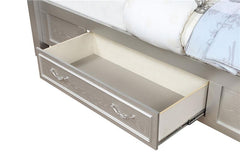 Evangeline Wood Queen LED Storage Panel Bed Silver Oak - 223390Q