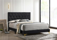 Kendall Upholstered Queen Panel Bed Black - 224451Q