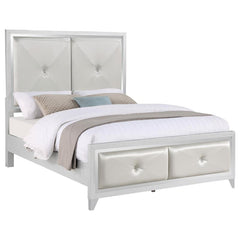 Larue Wood Queen Panel Bed Silver - 224491Q