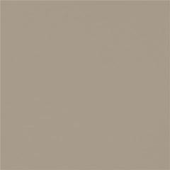 Caballo Upholstered Side Chairs Tan (Set of 2) - 110152