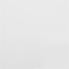 Betony Twin Canopy Bed White - 406055T