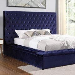 Golati - CM7895BL-Q-BED