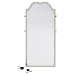 Evangeline Full Length LED Light Floor Mirror Silver Oak - 223400