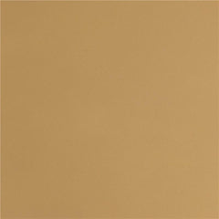 Nadia Square Padded Seat Counter Height Stool (Set of 2) Beige and Gold - 183645