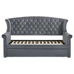 Scarlett Upholstered Twin Daybed with Trundle Grey - 300641