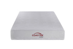 Ian 12" Queen Memory Foam Mattress White - 350065Q