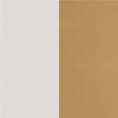 Nadia Square Padded Seat Counter Height Stool (Set of 2) Beige and Gold - 183645
