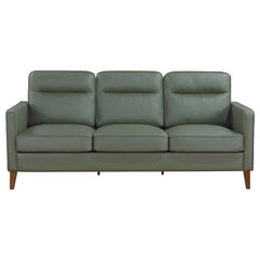 Jonah Upholstered Track Arm Sofa Green - 509654