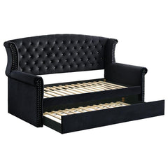 Scarlett Upholstered Twin Daybed with Trundle Black - 300642