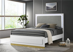 Caraway Wood Queen LED Panel Bed White - 224771Q