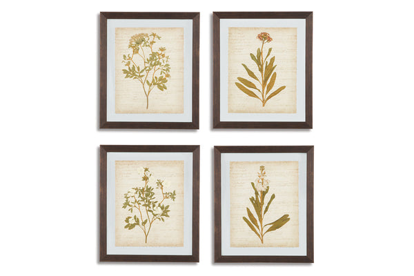 Dyani Wall Art (Set of 4) - A8000198