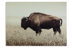 Brutus Wall Art - A8000289