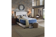 Mt Dana Plush California King Mattress - M62251