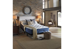 Mt Dana Plush California King Mattress - M62251