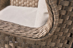 Clear Ridge Lounge Chair with Cushion (Set of 2) - P361-820