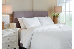 Ryter Twin Coverlet Set - Q721001T