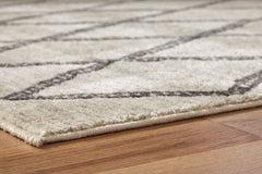 Jarmo 7'10" x 9'10" Rug - R402621