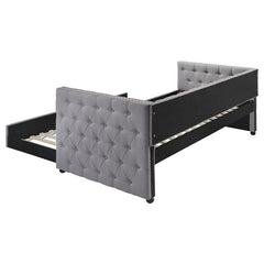 Mockern Upholstered Twin Daybed with Trundle Grey - 302161