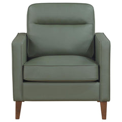 Jonah Upholstered Track Arm Accent Chair Green - 509656