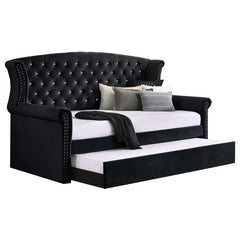 Scarlett Upholstered Twin Daybed with Trundle Black - 300642