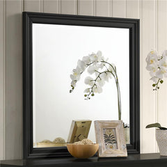 Sandy Beach Vertical Dresser Mirror Black - 201324